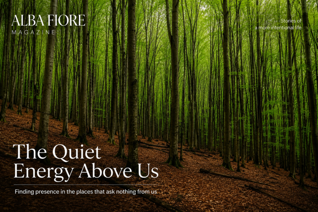 The Quiet Energy Above Us ce069d49 3648 440e ae3b bd382c98a1c9